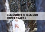 tiktok海外短视频（tiktok海外短视频要投入资金么）