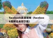 facebook高清视频（facebook视频无水印下载）