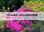 tiktok海外（tiktok海外运营推广）