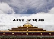 tiktok培训（tiktok培训班）