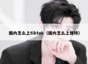 国内怎么上tiktok（国内怎么上推特）