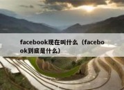 facebook现在叫什么（facebook到底是什么）