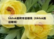 tiktok搬砖项目赚钱（tiktok搬运赚钱）