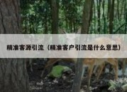 精准客源引流（精准客户引流是什么意思）