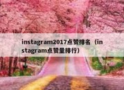 instagram2017点赞排名（instagram点赞量排行）