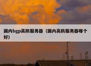 国内bgp高防服务器（国内高防服务器哪个好）