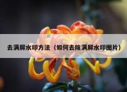 去满屏水印方法（如何去除满屏水印图片）