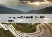 instagram怎么会掉粉（ins突然涨粉）