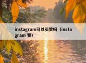 instagram可以买赞吗（instagram 赞）