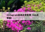 instagram自动点赞免费（ins点赞图）