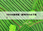 tiktok缅甸版（缅甸tiktok下载）