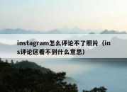 instagram怎么评论不了照片（ins评论区看不到什么意思）