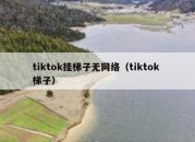 tiktok挂梯子无网络（tiktok 梯子）