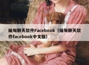 缅甸聊天软件Facebook（缅甸聊天软件facebook中文版）