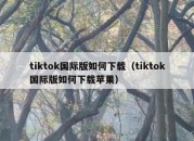 tiktok国际版如何下载（tiktok国际版如何下载苹果）