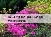 tiktok广告账户（tiktok广告账户最低充值金额）