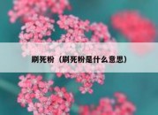 刷死粉（刷死粉是什么意思）