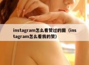 instagram怎么看赞过的图（instagram怎么看我的赞）