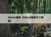 tiktok链接（tiktok链接不了网络）