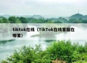 tiktok在线（TikTok在线客服在哪里）