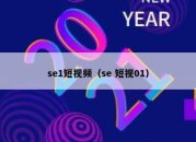 se1短视频（se 短视01）