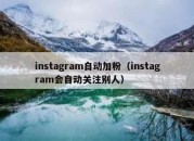 instagram自动加粉（instagram会自动关注别人）