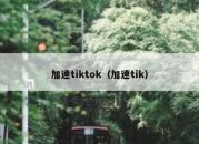 加速tiktok（加速tik）