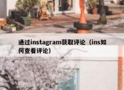 通过instagram获取评论（ins如何查看评论）