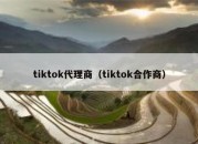 tiktok代理商（tiktok合作商）