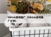 tiktok游戏推广（tiktok游戏推广计划）