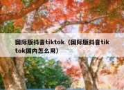 国际版抖音tiktok（国际版抖音tiktok国内怎么用）