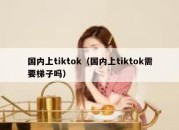 国内上tiktok（国内上tiktok需要梯子吗）