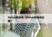 tiktok新加坡（tiktok新加坡总裁）