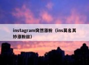 instagram突然涨粉（ins莫名其妙涨粉丝）