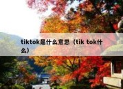 tiktok是什么意思（tik tok什么）