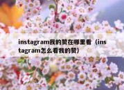 instagram我的赞在哪里看（instagram怎么看我的赞）