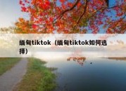 缅甸tiktok（缅甸tiktok如何选择）