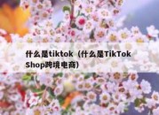 什么是tiktok（什么是TikTok Shop跨境电商）