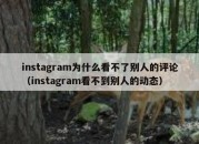 instagram为什么看不了别人的评论（instagram看不到别人的动态）