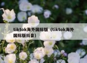 tiktok海外国际版（tiktok海外国际版抖音）