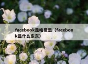 facebook是啥意思（facebook是什么东东）