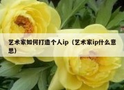 艺术家如何打造个人ip（艺术家ip什么意思）