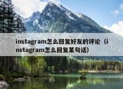 instagram怎么回复好友的评论（instagram怎么回复某句话）