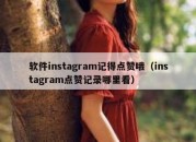 软件instagram记得点赞哦（instagram点赞记录哪里看）