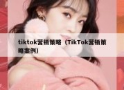 tiktok营销策略（TikTok营销策略案例）