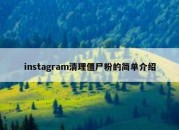 instagram清理僵尸粉的简单介绍