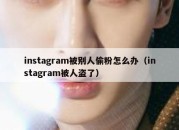 instagram被别人偷粉怎么办（instagram被人盗了）