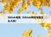 tiktok电商（tiktok跨境电商怎么入驻）