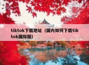 tiktok下载地址（国内如何下载tiktok国际版）