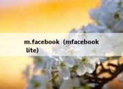 m.facebook（mfacebook lite）